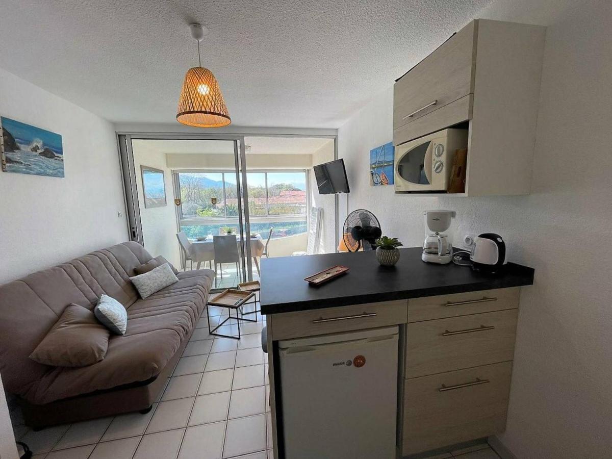 Studio Cabine Cosy Avec Piscine Et Parking, A 100M De La Plage - Argeles-Sur-Mer - Fr-1-225-91 Lejlighed Eksteriør billede